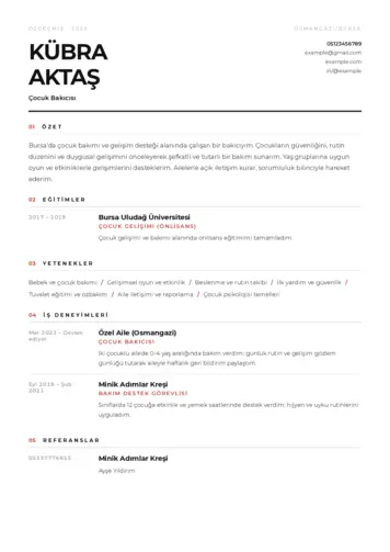 Çocuk Bakıcısı CV Örnekleri cv indir